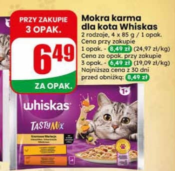 mokra karma dla kota