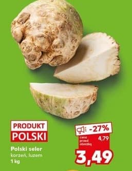seler korzeń