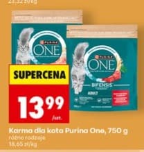 karma dla kota