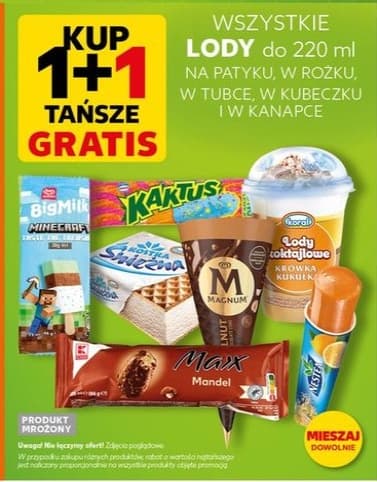 Wszystkie lody do 220 ml na patyku, w rożku, w tubce, w kubeczku i w kanapce