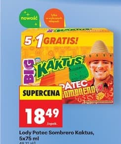 lody Sombrero Kaktus