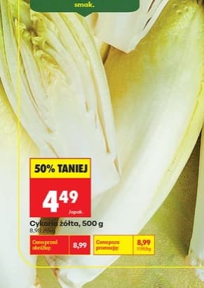 cykoria żółta