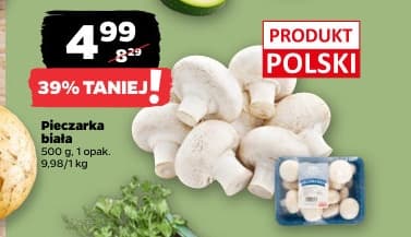 pieczarka biała