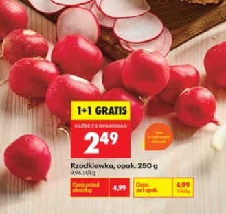 rzodkiewka