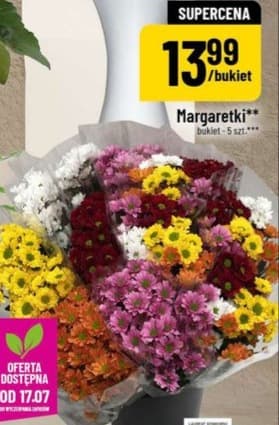 Margaretki