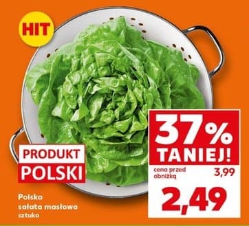 sałata masłowa