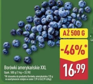 borówki amerykańskie XXL