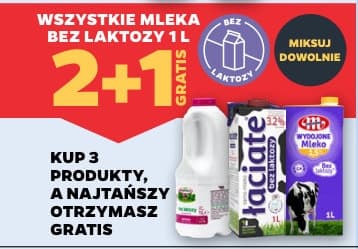 wszystkie mleka bez laktozy