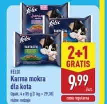 karma mokra dla kota