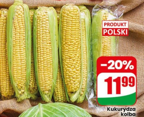 kukurydza kolba
