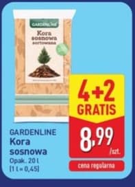 kora sosnowa