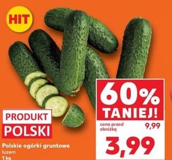 ogórek gruntowy