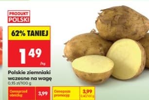 polskie ziemniaki wczesne