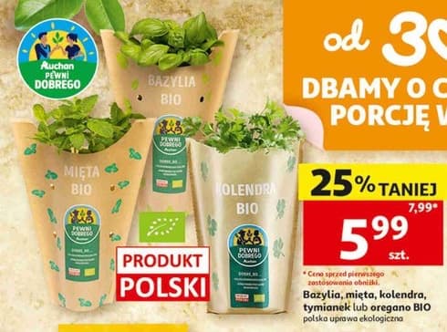 bazylia, mięta, kolendra, tymianek lub oregano BIO