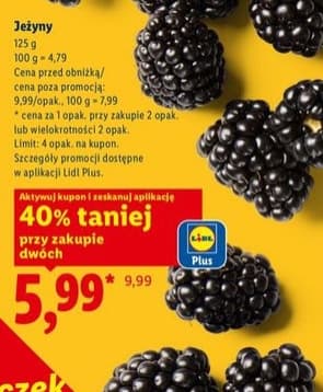 jeżyna