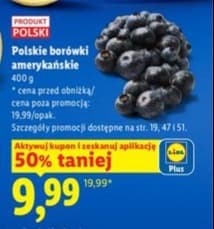 borówka amerykańska