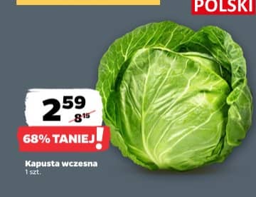 kapusta wczesna 1szt.
