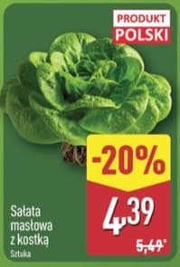 sałata masłowa z kostką