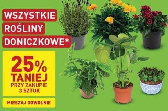 Wszystkie rośliny doniczkowe