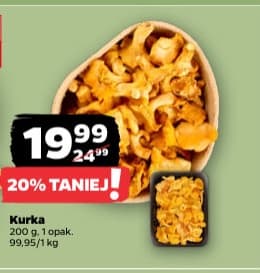 kurka