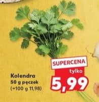 kolendra