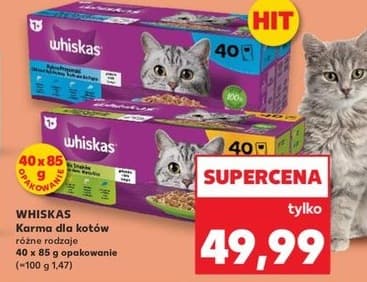 karma dla kotów