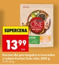 karma dla psa bogata w kurczaka z ryżem