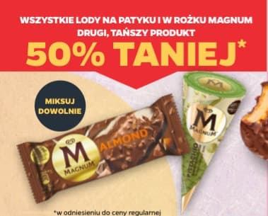 Wszystkie lody na patyku i w rożku Magnum
