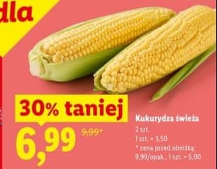 kukurydza świeża