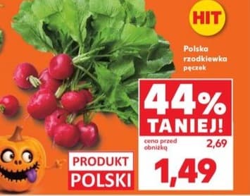 rzodkiewka pęczek