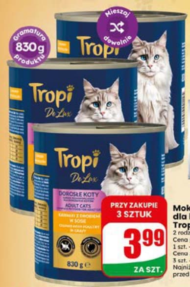 mokra karma dla kota różne rodzaje