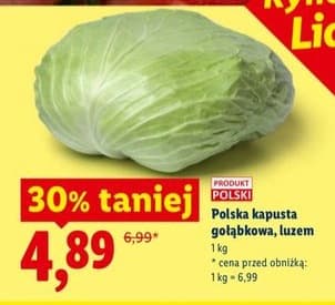 kapusta gołąbkowa