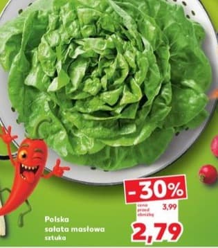 sałata masłowa