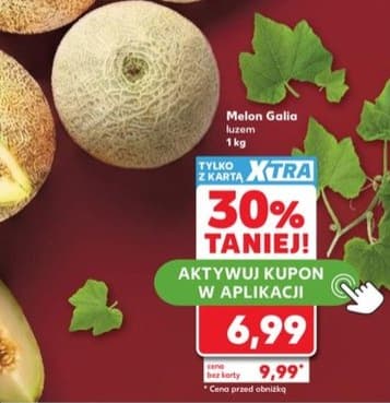 melon Galia