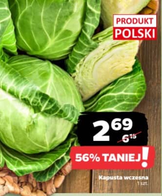 kapusta wczesna 1szt.