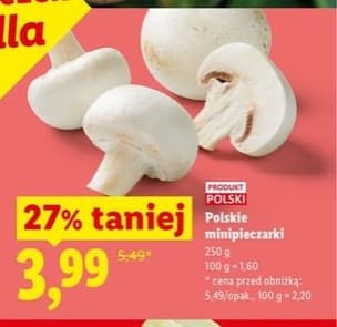 minipieczarki