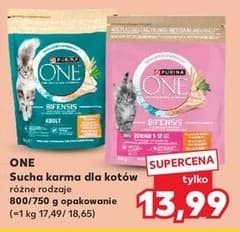 sucha karma dla kotów