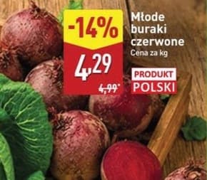 młode buraki czerwone