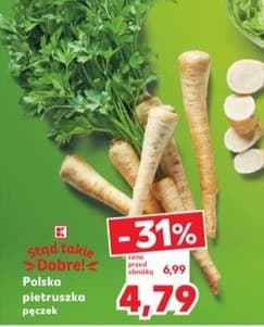 pietruszka w doniczce