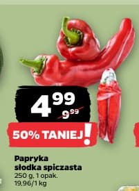 papryka słodka spiczasta
