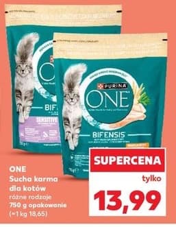 sucha karma dla kotów
