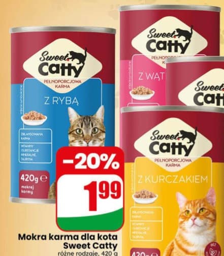 mokra karma dla kota z wołowiną