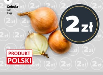 cebula