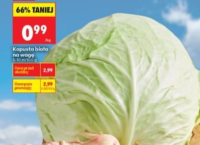 kapusta biała