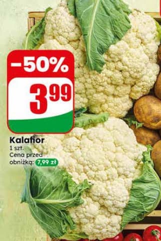 kalafior