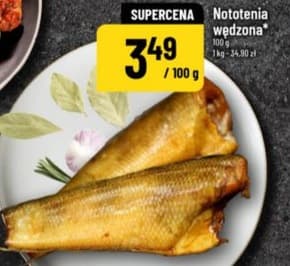 nototenia wędzona