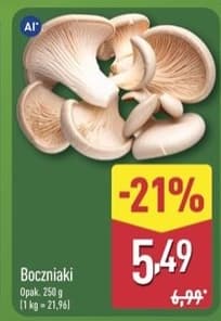 boczniaki