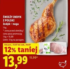 indyk noga