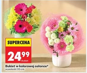 bukiet w kolorowej osłonce