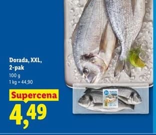 dorada XXL